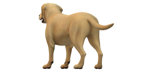 Dog isolated on a Transparent Background