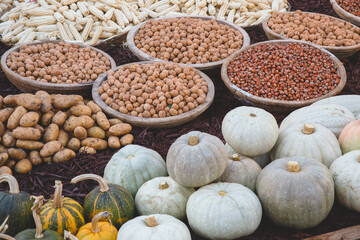 large containers with walnuts and hazelnuts, corn, pumpkins and potatoes outdoors, harvest concept