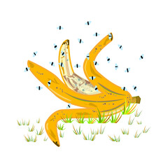 Fruit flies and banana peel. Drosophila melanogaster. Insect swarming around food scraps. Flies flying above peeled banana in grass. Organic waste or kitchen leftovers and pest. Vector illustration