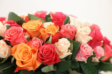 Bouquet of beautiful roses on white background, closeup