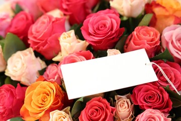 Bouquet of beautiful roses with blank card, closeup