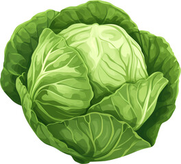 Obraz premium Simple Cartoon Cabbage