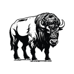 Bison wild animal vector EPS