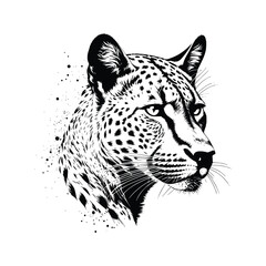 Cheetah wild animal vector EPS