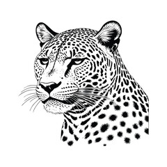Jaguar wild animal vector EPS