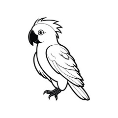 Cockatoo wild animal icon vector EPS