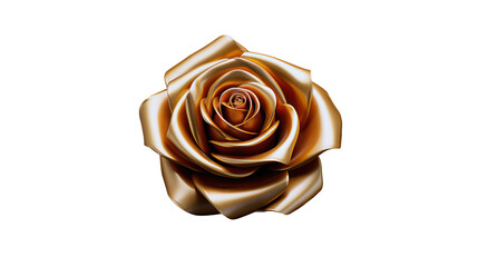 big Gold rose isolated, gold flower blooming on white background