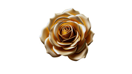 big Gold rose isolated, gold flower blooming on white background