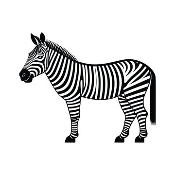 Zebra wild animal icon vector EPS