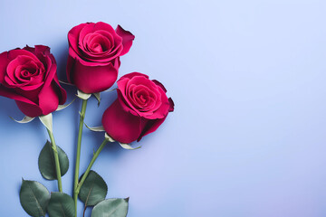 Flat lay of three red roses on a violet background. Valentine's day concept. Love theme. Top view copy space horizontal image.