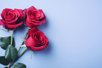 Flat lay of three red roses on a violet background. Valentine's day concept. Love theme. Top view copy space horizontal image.