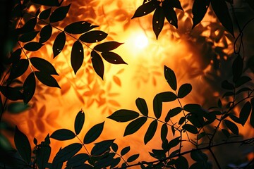 Obraz na płótnie Canvas Ethereal Foliage Silhouette