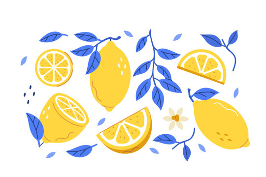 
Lemons set. Whole, half, sliced citrus fruit with branch and leaves for patterns, prints and product design. Hand drawn vector illustration isolated on white background.
