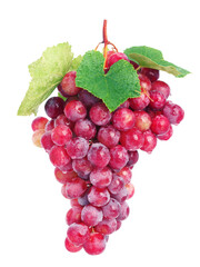 Bunch of red grapes isolated