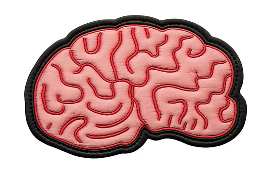 Structure of human brain section schematic raster illustration. Medical science educational illustration isolated on a Transparent background. Generative AI