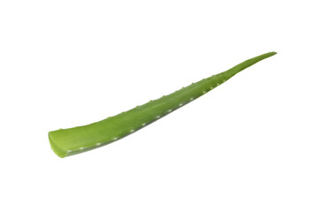 One aloe vera leaf isolated on white
