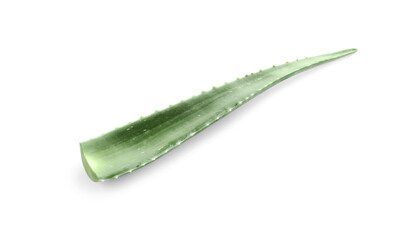 Green aloe vera leaf isolated on white