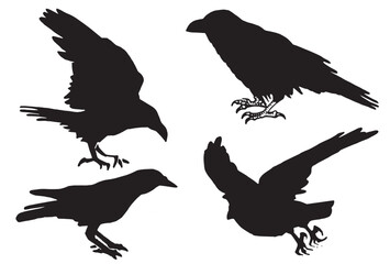 Ink pen vector set of silhouettes of crows isolated on white background. Elements for design,tattoo and printing