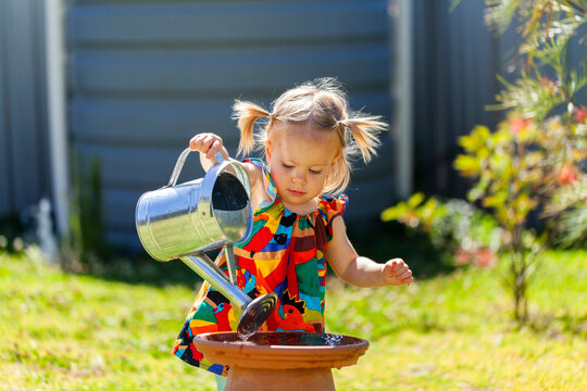 Toddler girl filling up bird bath with watering can in backyard