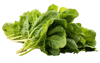 Mustard Greens Bringing a Burst of Color to Your Plate on White or PNG Transparent Background