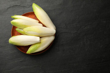 Fresh raw Belgian endives (chicory) on black table, top view. Space for text