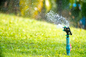 Sprinkler for automatic lawn watering. Lawn cultivation and care, garden irrigation devices....