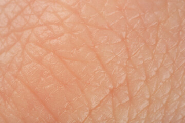 Texture of healthy skin as background, macro view
