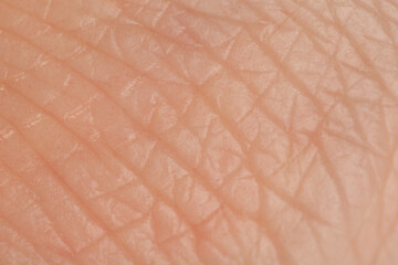 Fototapeta premium Texture of healthy skin as background, macro view