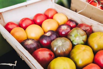 Différentes tomates en vente sur un étal de marché bio