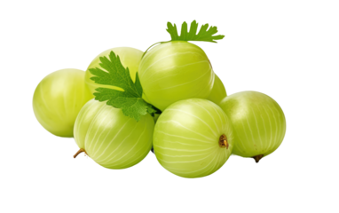 Amla, the Timeless Tonic for Holistic Well-being on White or PNG Transparent Background