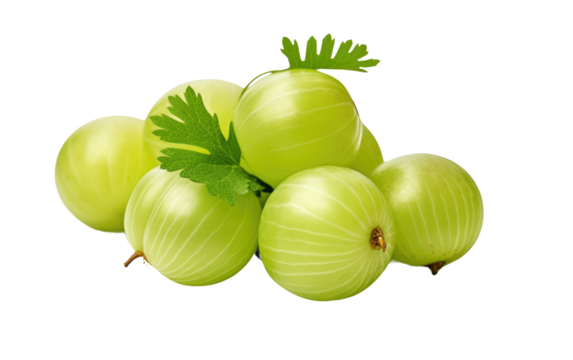 Amla, the Timeless Tonic for Holistic Well-being on White or PNG Transparent Background