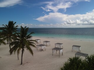 beach with trees and sea