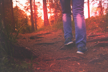 Hiker on a hiking trail, view from the ground of legs. Walking on forest trail. Travel, Hiking,...