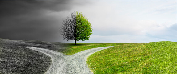 Weggabelung auf einem Weg durch durch eine Hügellandschaft