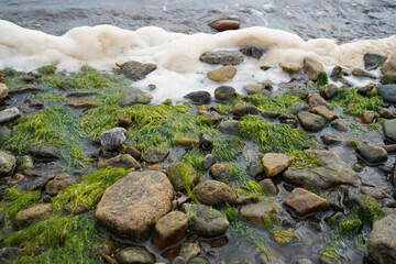 view of stones covered in algae next to the water with waves in summer