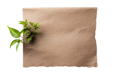 Spreading Life with Biodegradable Plantable Paper on White or PNG Transparent Background