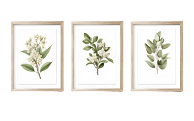 Delicate Botanical Allure Captured on White or PNG Transparent Background
