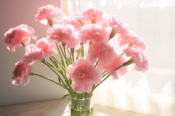 Pink Carnations Bouquet on White Wall Background with Sunlight Shadows for Home Decor