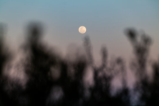 Horizontal shot of a blurry full moon