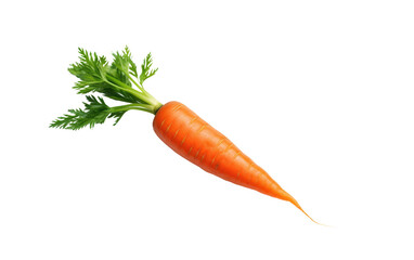 Carrot's Vibrant Presence in Every Dish on White or PNG Transparent Background