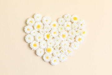 Heart made of white chrysanthemum flowers on beige background. Creative spring idea, stylish trendy greeting card. Natural minimal concept. Flowers heart. Flat lay, top view. Peach fuzz color