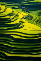 Rice terraces in Sapa mountains, Landscape of terraced rice field near Sapa, North Vietnam