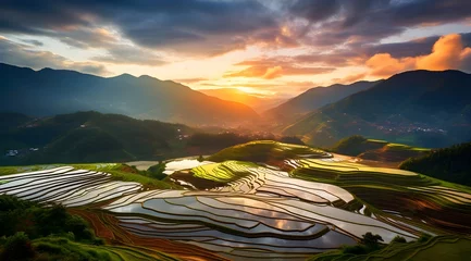 Fototapete Reisfelder Rice terraces in Sapa mountains, Landscape of terraced rice field near Sapa, North Vietnam