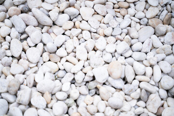 White pebble surface, small stones on the ground, top view of natural pebbles on summer beach