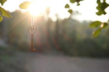 Key hanging in forest in sunset light