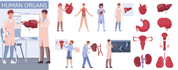 Hand drawn flat organ icon illustrations collection with doctors and organs