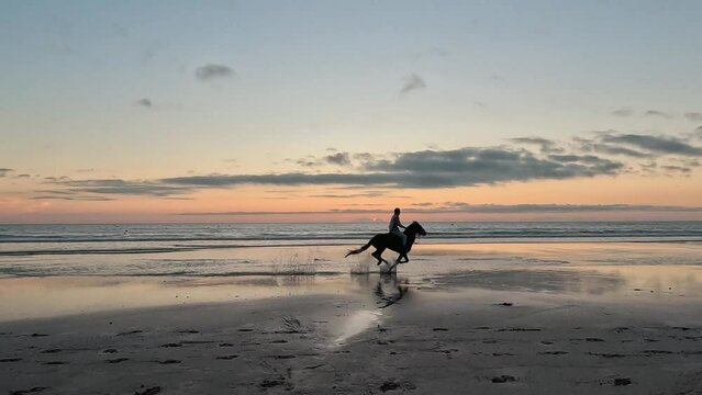 Horseback riding on the beach in Morocco. A man galloping at sunset