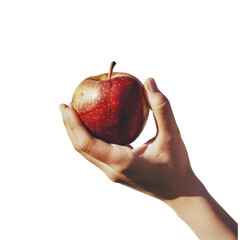 Vintage-Inspired Hand Holding Single Apple  on transparent background.