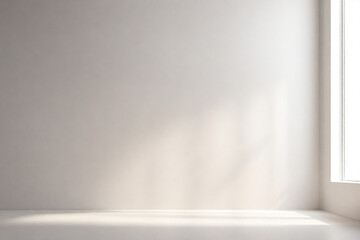 Empty room with white wall and sunlight. 3d render illustration.