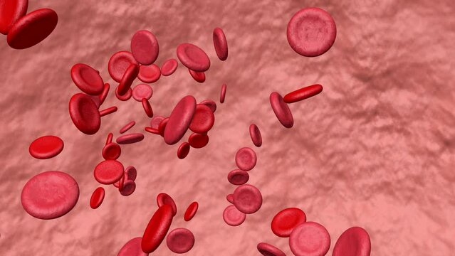 Moving Blood Cells Background Animation. Medical, Science, Health.